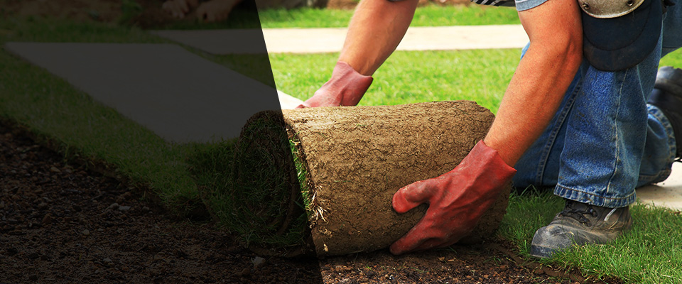 Shasta Lake Landscapers